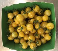 Tomates cerise jaunes